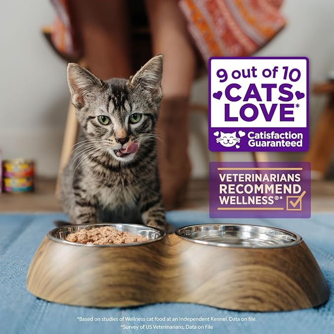 Wellness Healthly Indulgence Shreds Adult Wet Cat Food, Natural, Protein-Rich, Grain Free, 3 Ounce Pouch, 24 Pack, (Tuna & Shrimp)