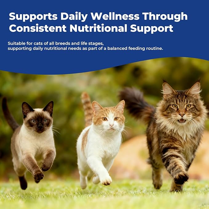 Taurine Supplement for Cats Liquid Drops – Essential Taurine for Heart Health, Vision & Immune Support, Easy-to-Mix Daily Feline Nutrition Supplement