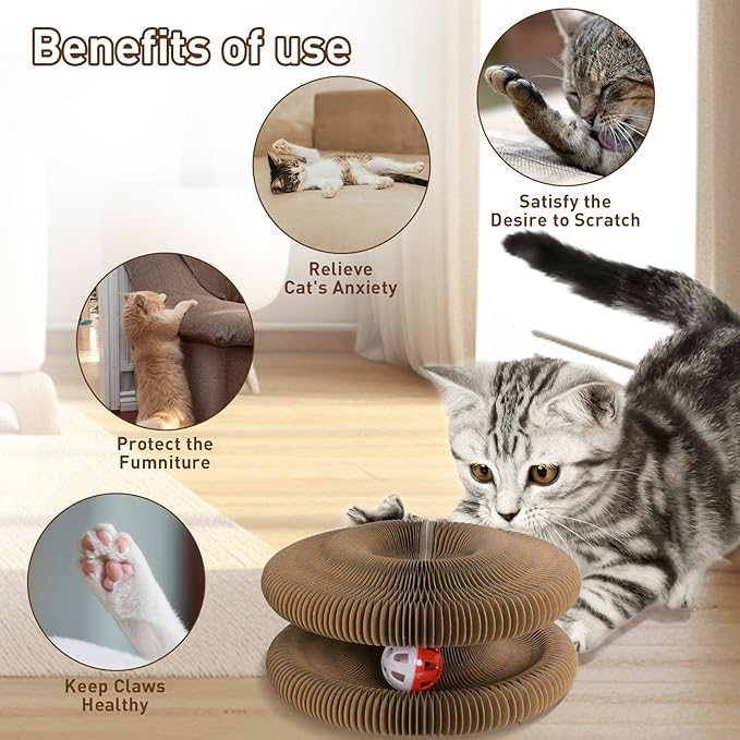 Kitty Cat Toys, 1 PC Magic Organ Kurlz Cat Scratching Board, Modern Indoor Interactive Reversible Toys Scratcher Cardboard Kitten Pads