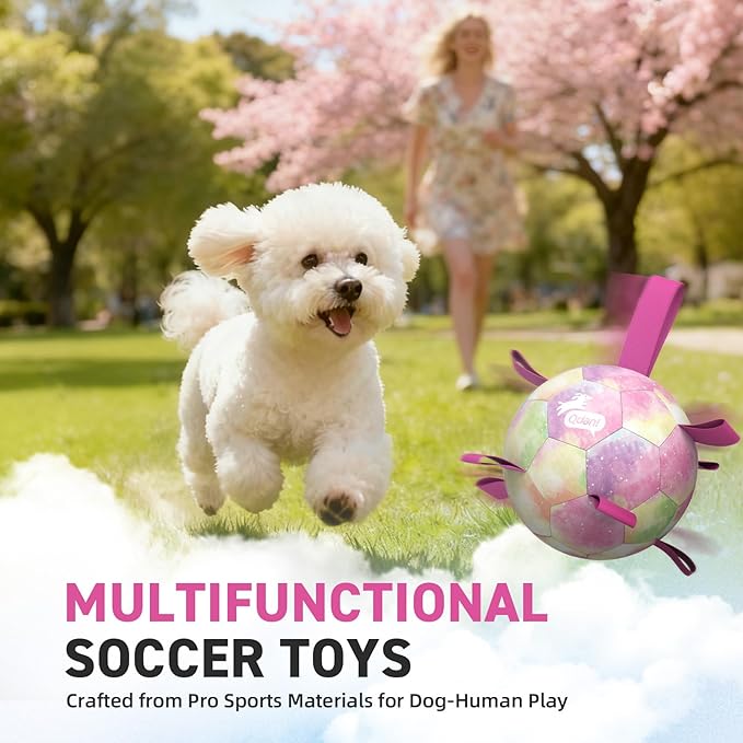 QDAN Dog Balls, Dog Soccer Ball with Straps, Valentines Dog Toys, Girl Puppy Toy Balls for Small Medium Dogs, Water Toys Pool Toys, Puppy Pet Birthday Gifts, Rainbow（6 Inch）