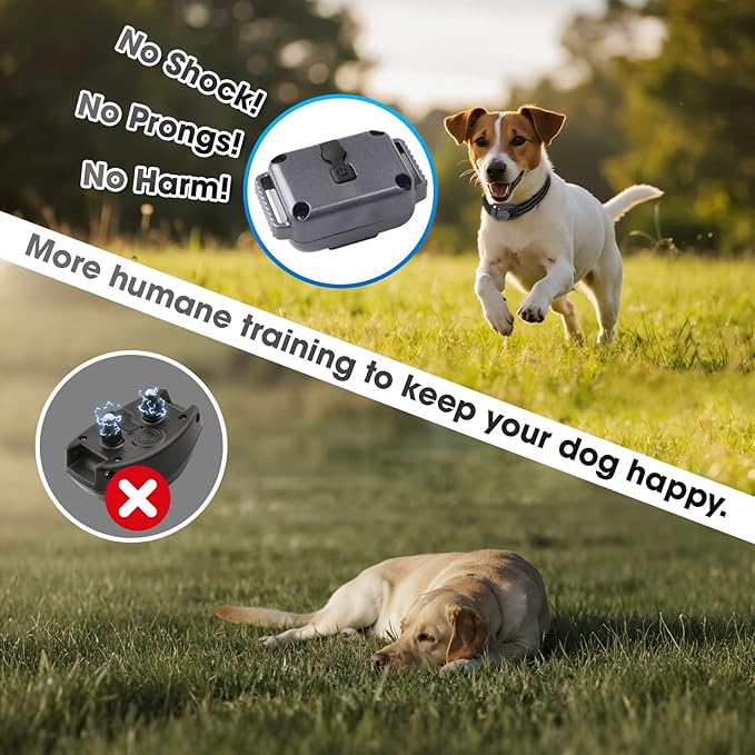 Lightest No Shock Dog Training Collar with 2000ft Remote,Tiniest Vibrating Dog Collar,Vibration Collar for Small Dogs 5-15lbs & Medium Large Dogs, Safe Lock, Beep, Vibrate, No Prongs, Waterproof,Grey