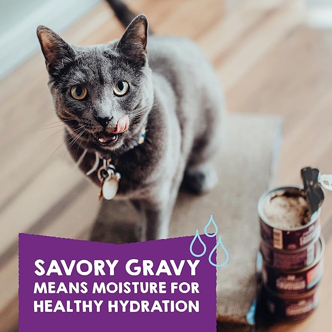 Stella & Chewy's Carnivore Cravings Purrfect Paté - Premium Grain-Free Wet Cat Food - 6 Flavor Variety Pack - High Protein with Bone Broth - Perfect for Picky Eaters - 2.8oz Cans (12 Pack)