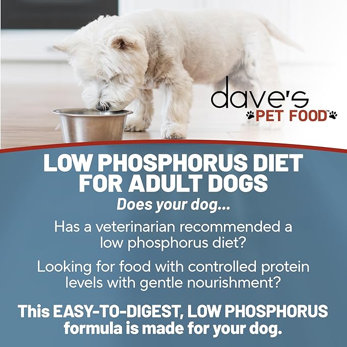 Dave's Pet Food Kidney Support for Dogs (Chicken & Vegetable Stew) - Low Phosphorus & Low Protein Wet Canned Dog Food for Renal Health - No Prescription Needed - 5.5 oz (Case of 12)