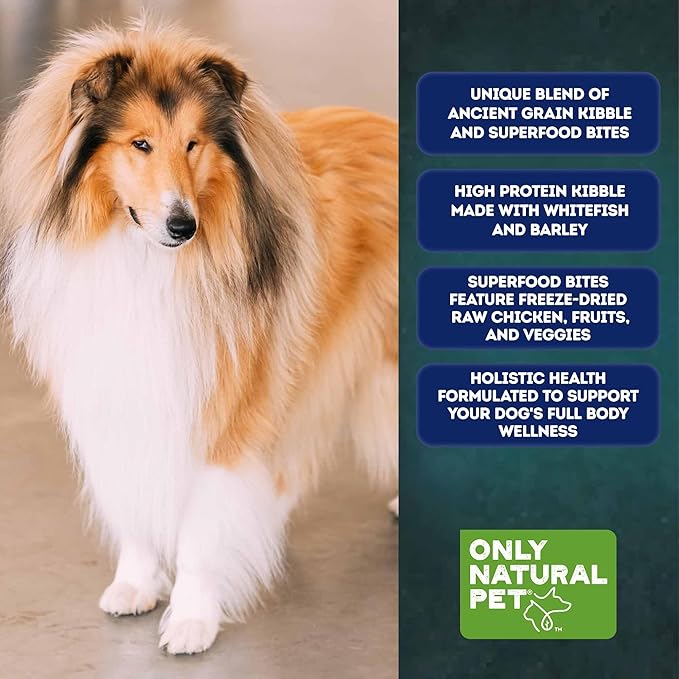 Only Natural Pet Raw Blends Skin & Coat Formula - Holistic Dog Food for Adult, High-Protein Ancient Grains Kibble & Freeze-Dried Raw Superfood Bites for Full Body Wellness with Omega-3-18 lbs