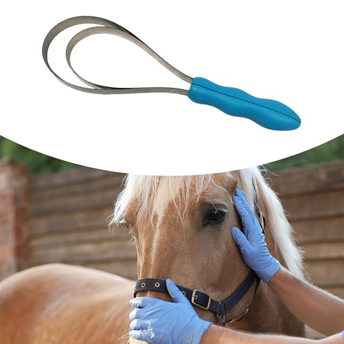 Pet Shedding Blade Hair Remover Tool with Handle for Dogs Cats Horses Animal Grooming Comb Stainless Steel Double Sided Design 12.40 Inch- Double Loop