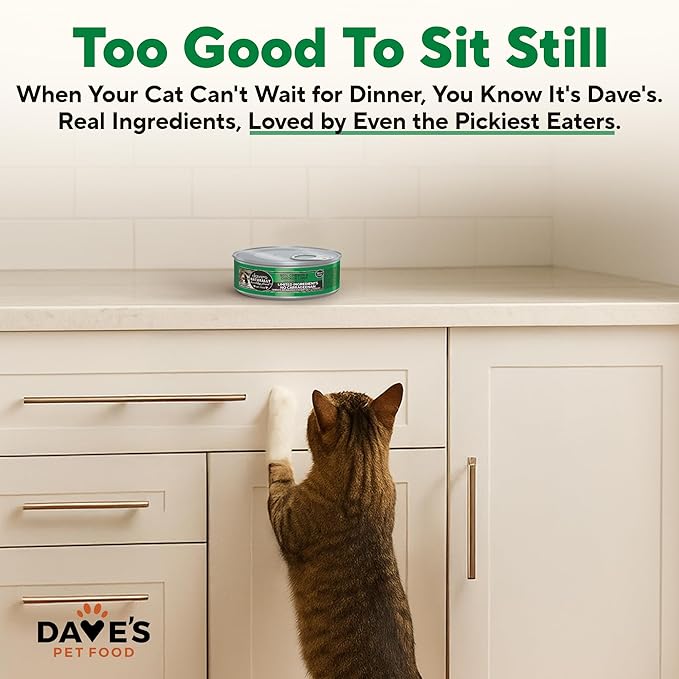Dave's Pet Food Grain Free Wet Cat Food (95% Chicken & Chicken Liver Pate), Made in Canada Naturally Healthy Canned Cat Food, Added Vitamins & Minerals, Wheat & Gluten-Free, 5.5 oz (24 Pack)