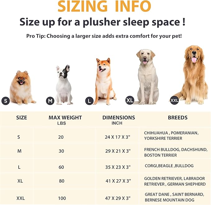 Dog Crate Pad for Small Dogs - 24x18 Memory Foam Dog Bed, Washable & Anti-Slip Dog Bed Mat, Ultra Soft Kennel Pad for Dogs Cozy Sleeping Mat, Grey
