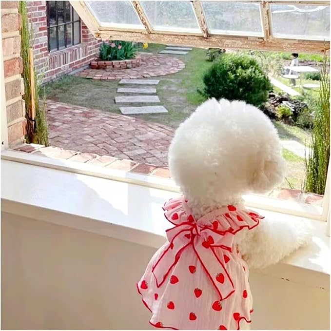 Pet Clothes Bowknot Strawberry Dog Dress Cat Princess Dresses Chihuahua Yorkshire Sweet Skirts Puppy Supplies(X-Small)