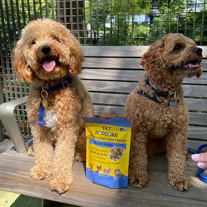 Freeze-Dried Raw Treats - Bison Liver - 2.5oz Bag, Dog & Cat Snacks, Single Ingredient, Natural, Pet Food Topper, Protein‑Packed Meat