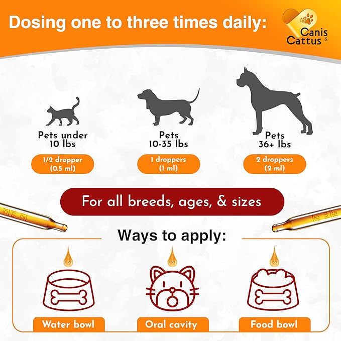 Cat Vitamins for Indoor Cats for Breathing & Digestion | Liquid Multivitamin for Dogs as Bladder Control Supplements | Dog Vitamins to Support Joints, Eyes, Skin & Coat | 2 Oz
