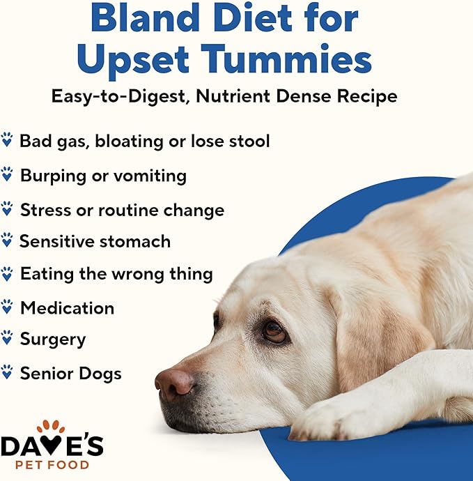 Dave's Dog Food Bland Diet Dog Food for Sick Dogs with Upset Stomach (Chicken & Rice), Economy Size for Large Pups or Big Eaters, Sensitive Stomach, Economy Size 22 oz (Case of 12)
