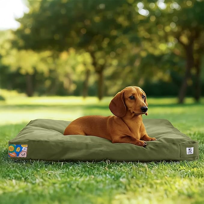 Sytopia 30 Inch Canvas Chew-Proof Outdoor Dog Bed for Medium Dogs, Waterproof Washable Removable Cover, Indoor Patio Pet Pad, Green