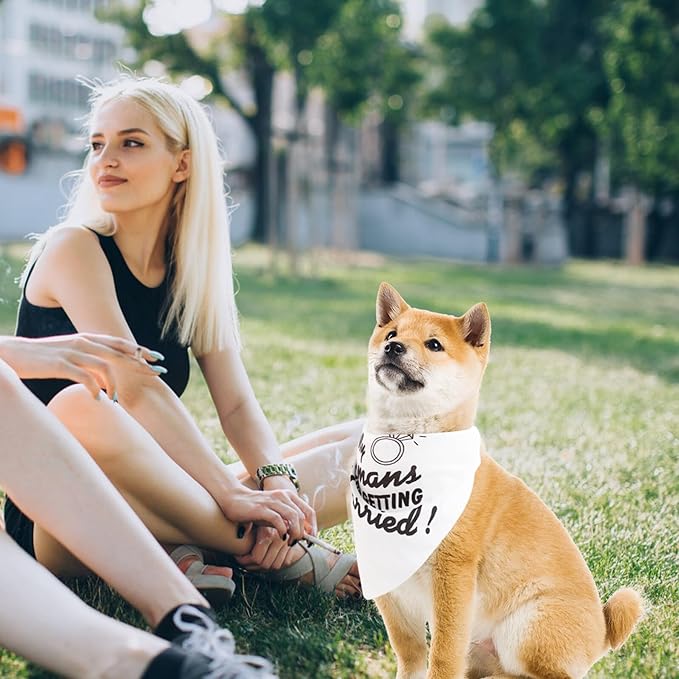 Happyyami Pet Bandana Triangle Scarf 2pcs Dog Bandanas Pet Accessories Soft Cotton Saliva Towel for Small Dogs and Puppies Birthday Party Supplies