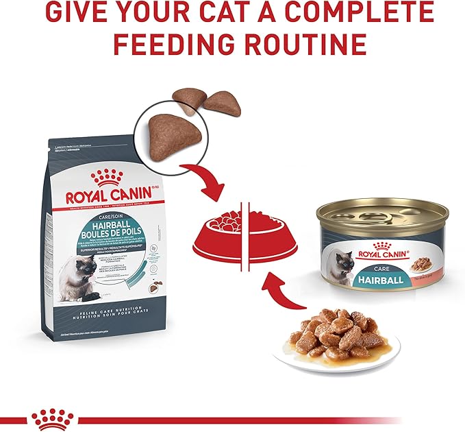 Royal Canin Feline Care Nutrition Hairball Care Adult Thin Slices in Gravy Cat Food, 3 oz (Pack of 6)
