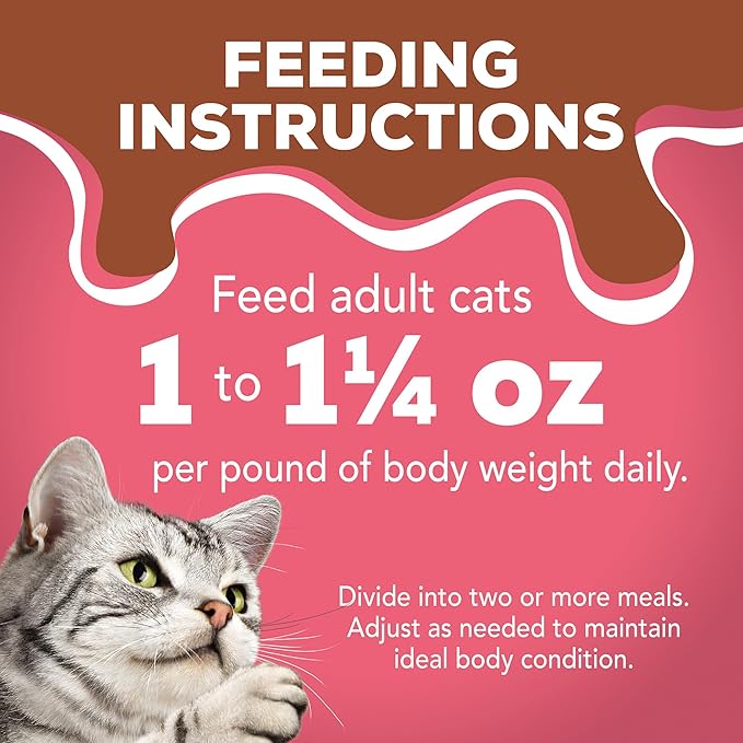 Purina Friskies Extra Gravy Wet Cat Food Chunky With Salmon in Savory Gravy - (Pack of 24) 5.5 oz. Cans