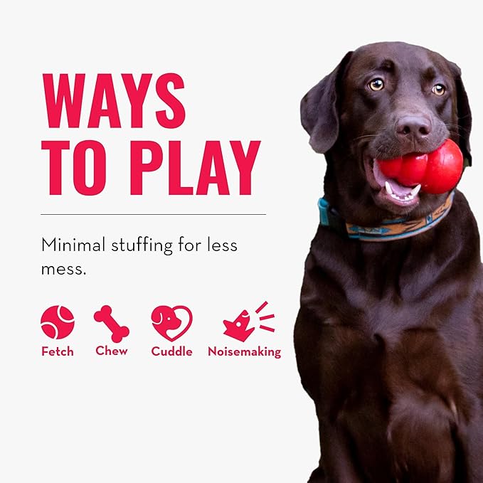 KONG - Wild Knots Bear - Internal Knotted Ropes and Minimal Stuffing for Less Mess (Assorted Colors) - For X-Small Dogs