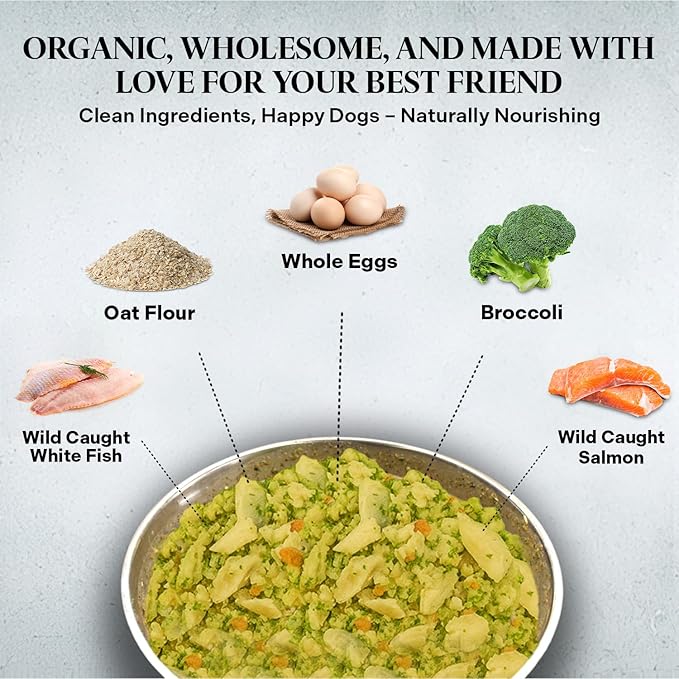 Healthy Dogma - PetMix Dehydrated Dog Food – Fish Dinner with Wild-Caught Alaskan Salmon & Whitefish – Gluten-Free, Skin & Coat Support, Clean Ingredient Dog Food – No Preservatives, (2 lbs)