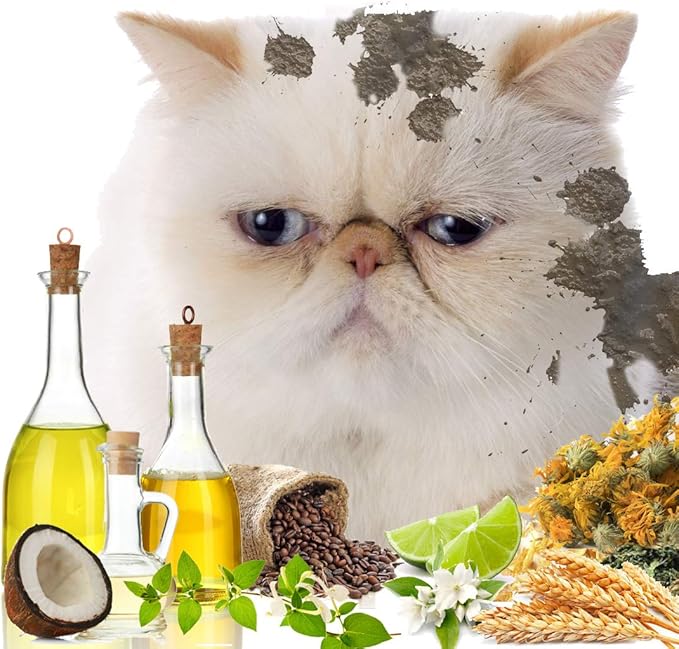 The Blissful Dog Stinky Smelly Cat Shampoo, 4-Ounce