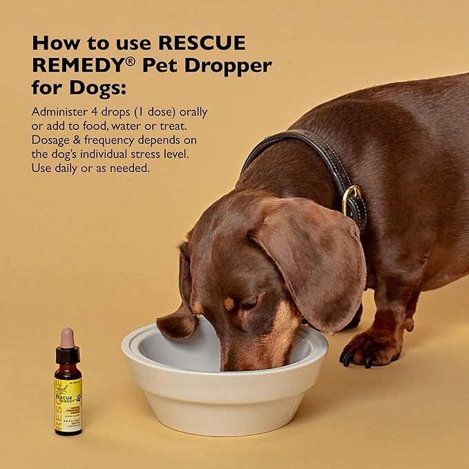Rescue Remedy Pet Dropper for Dogs - 20 mL - Stress & Tension Support for Dogs with Bach Natural Flower Essences - Sedative-Free, Homeopathic Liquid Formula - For All Breeds, Ages & Weights