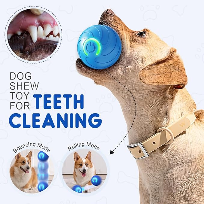 2025 New Dog Ball for Large Dogs, 2PCS Interactive Dog Ball Toy Vibrating Balls, Smart Shaking Pet Bounce Electric Balls Automatic Moving Pet Toy for All Dogs (#B1)