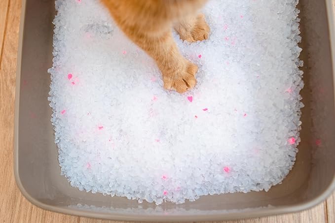 Premium Crystal Cat Litter – Ultra Absorbent & Maximum Odor Control – 99.9% Dust-Free, Low Tracking, Non-Clumping Silica Gel – Unscented – 32 lb (4 x 8 lb Packs)