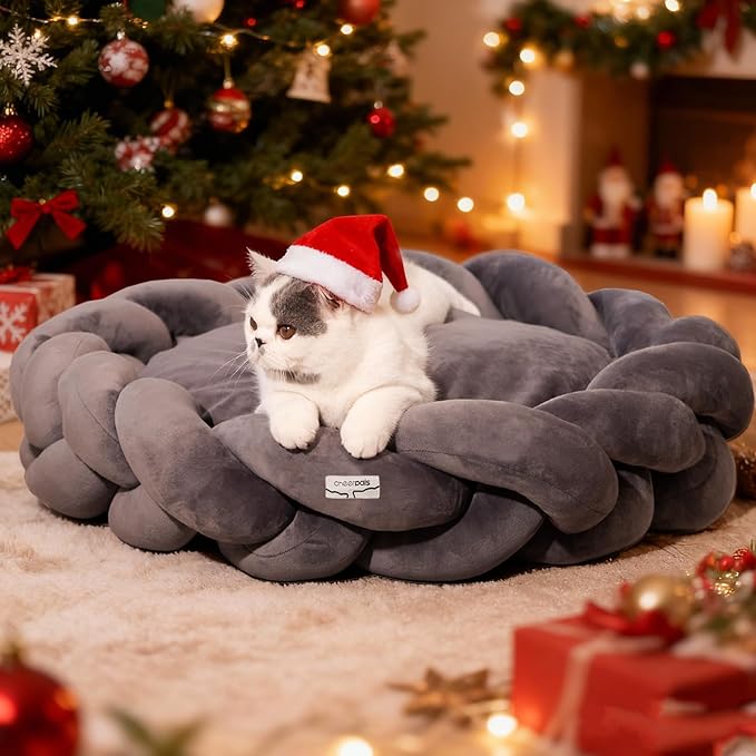 CHEERPALS Weave Cat Bed for Indoor Cats,Cute Pet Bed with Washable Cushion Fluffy Kitty Bed for Small Dog(Dark Gray)
