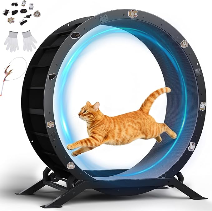 GTPLAYER Cat Wheels, Large Cat Exercise Wheel for Indoor Cats, 40"Diameter cat treadmill Detachable Carpet & Teaser, stickers, Ultra-quiet scroll wheel With latch, Suitable for Most Cats, Metal, Black