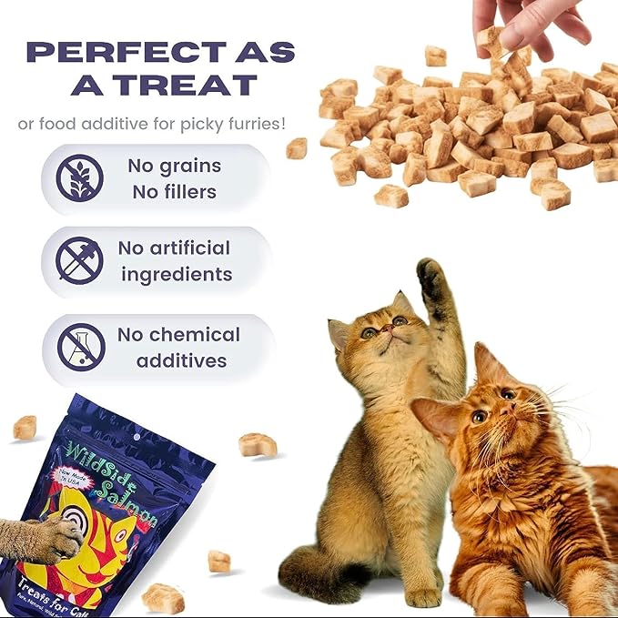 100% Wild Alaskan Salmon Freeze Dried Cat Treats - Healthy Training Treat - 3oz (3 Pack)