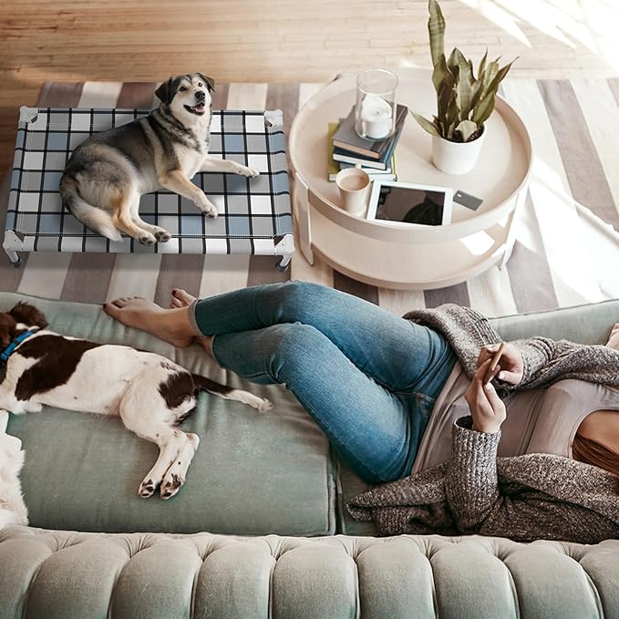 Elevated Outdoor Raised Dog Bed Outdoor Dogs Bed Lifted Pet Bed Dog Cot for Medium Pet Taste Life, Start with A Pet Bed 34'' x 20'' x 6.5''