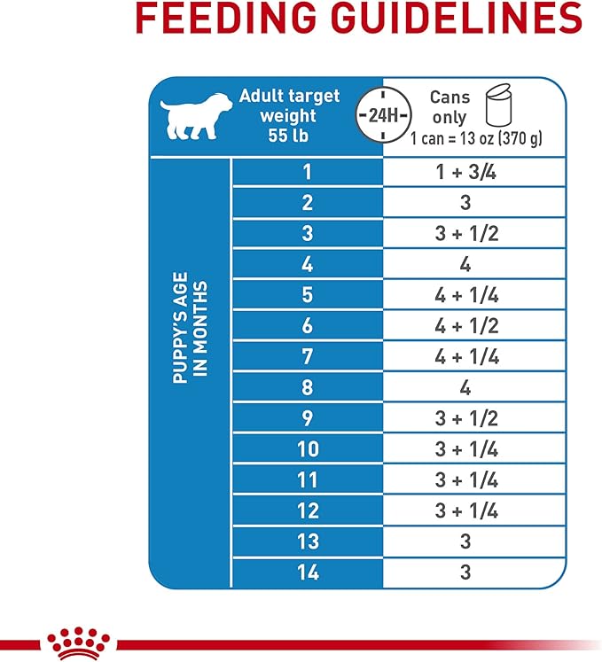 Royal Canin Size Health Nutrition Large PuppyThin Slices in Gravy Dog Food, 13 oz (Pack of 12)