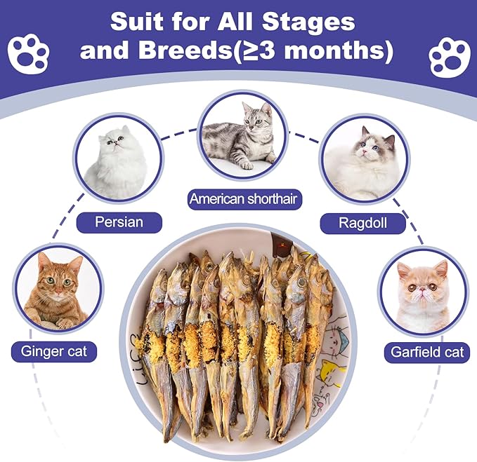 Freeze Dried Capelin Training Treats for Dogs & Cats – Single Ingredient, High Protein Snacks, Rich in Omega-3 for Skin Coat Health, Grain Free (3oz)