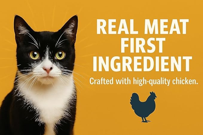 CountryMax Maggie and Duke’s Canned Cat Food – 14 oz – High-Protein, Grain-Free Wet Food for Adult Cats & Kittens (Case of 24 Cans, Chicken)