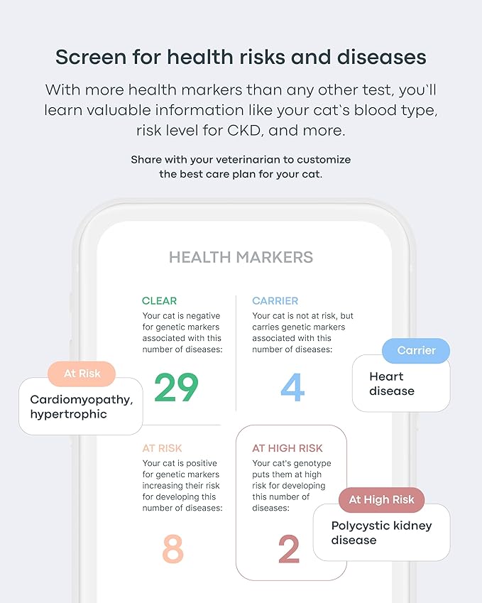 Basepaws Cat DNA Test Kit - Comprehensive Breed, Health and Dental Analysis Across 114 Traits for Accurate and Easy-to-Use Genetic Insights (Cat Whole Genome Sequencing, Basic)