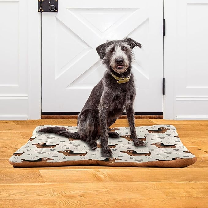 Dog Bed for Crate Washable Pet Sleep Pad, Dachshund Kennel Mat with Non-Slip Bottom, Soft Fluffy Supplies Pet for Dogs and Cats (24x18 inch)