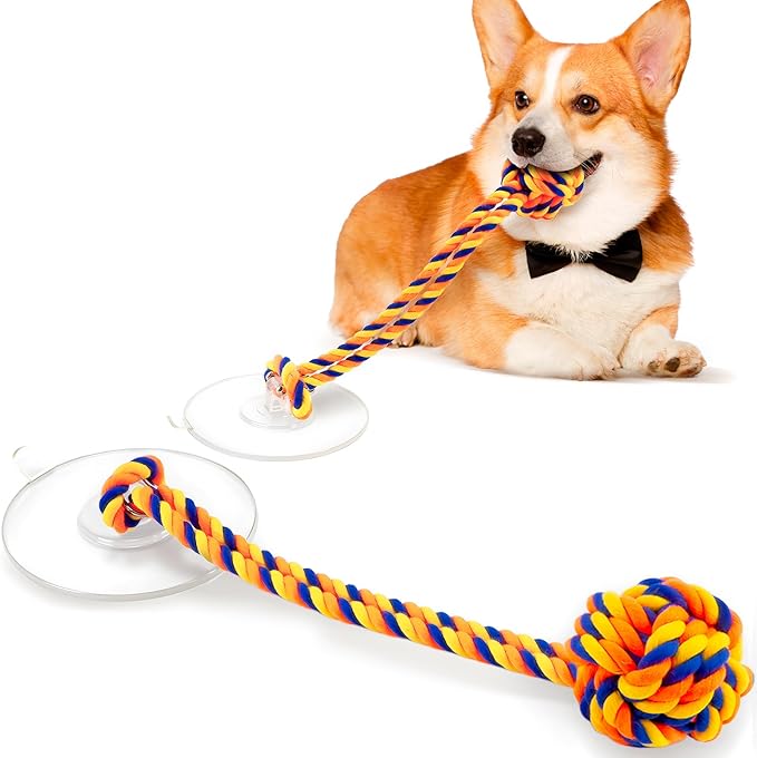 Interactive Tug-of-War Dog Toy with Strong Gel Suction Cup，Durable rope and orange chew ball，The indestructible enrichment puzzle, built for aggressive and busy chewers，For small to medium dogs