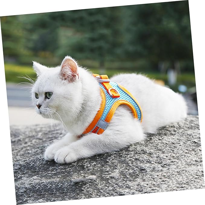 BESPORTBLE Pet Vest Harness Leash Set L Breathable Reflective No-Pull Dog Cat Harness for Outdoor Walking Puppy Pet Supply