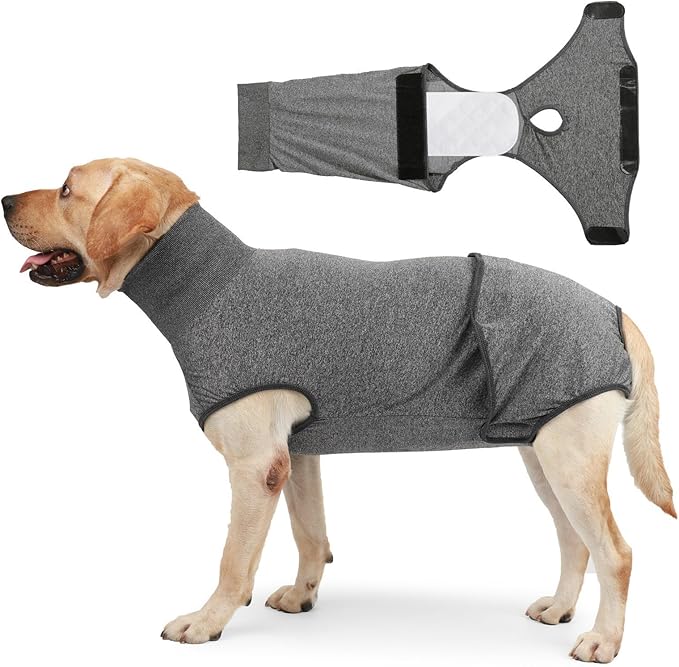 Polyester Dog Surgeries Bodysuit Ensuring and Comfortable During and Post Recovery Clothing Pet Supply Dog Recovery Jumpsuit
