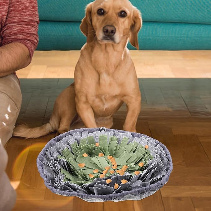 GALPADA Slow Feed Dog Bowl with Non-Slip Base, Interactive Plush Snuffle Mat, Medium Size for Puppy Training and Energy Consumption, Green and Gray Pet Feeding Supplies