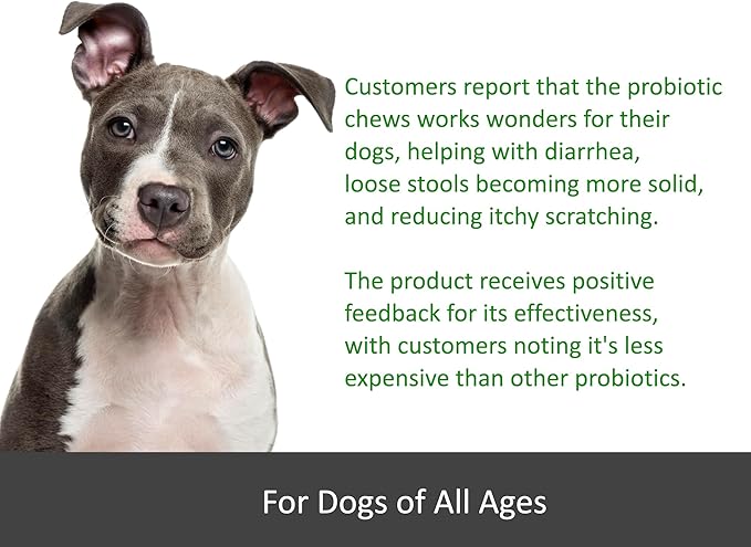 TummyWorks Probiotics for Dogs. 120 Probiotic Soft Chews for Digestive Health, Gut, Immunity, Energy, Allergies, Skin & Coat. 10 Strains, 5 Billion CFUs with 6 Enzymes. Made in USA