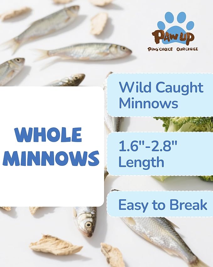 PAWUP Freeze Dried Minnows Dogs Treats – 100% Raw Single-Ingredient Pet Fish Snacks – Rich in Omega-3, Grain-Free – Healthy Training Rewards & Meal Toppers, 2.8 oz