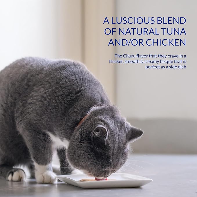 INABA Churu Bisque for Cats, Creamy Lickable Purée Side Dish with Vitamin E, 1.4 Ounces per Pouch, 12 Pouches, Chicken Recipe