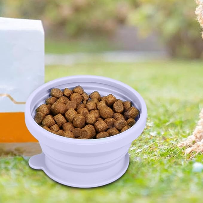 Portable Dog Accessories, Feeder Dish Puppy Bowls, Pet Feeding Station for Puppies Dogs and Kittens, Cat Bowl, Pet Supplies, Cat Feeder, Indoor Outdoor Feeding Kitten Bowls