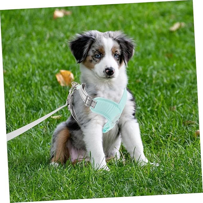 Adjustable Green Dog Vest Harness Reflective Straps, Wear-Resistant Puppy for Outdoor Walking and Training, Large Size Pet Supply