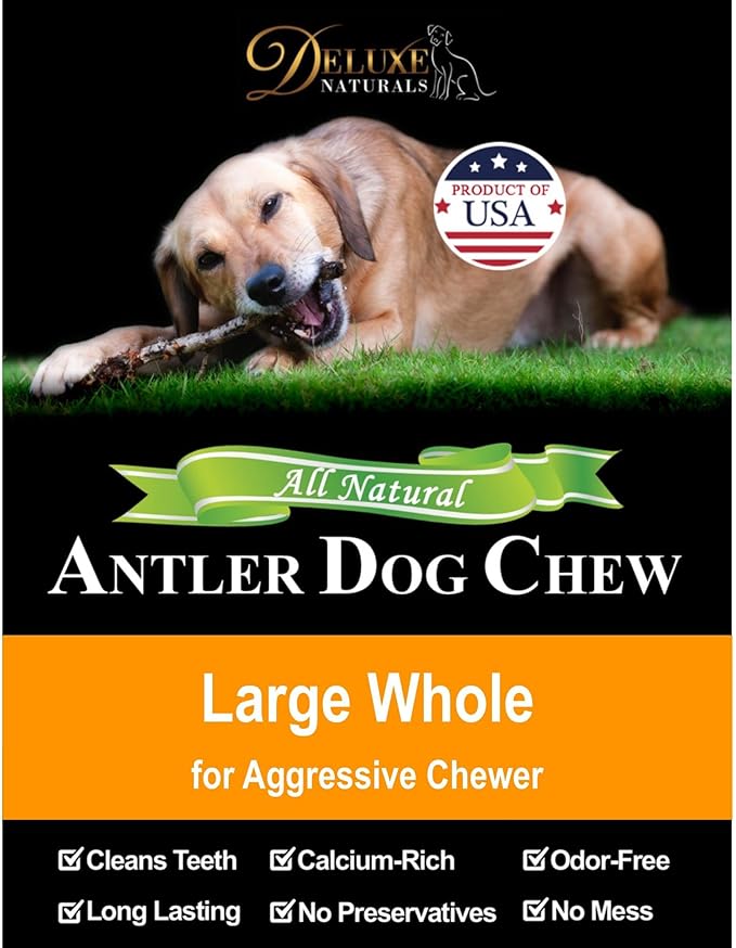 1-Pack Large Whole Elk Antler Dog Chews (6 to 9+ in) – Long Lasting Natural Dog Bones for Medium to Large Dogs (30–80 lbs) – Antlers for Dogs, Aggressive Chewers, Dental Chews