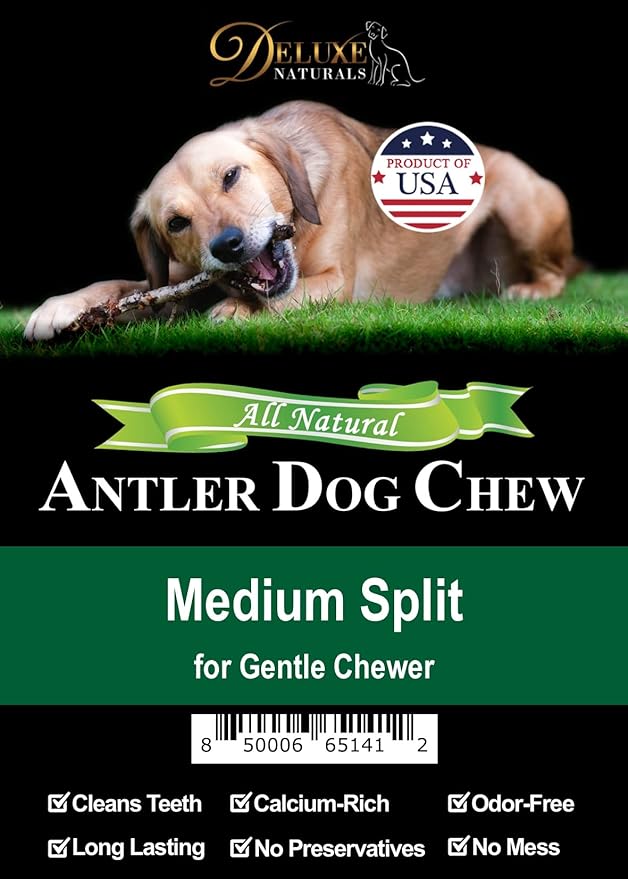 1 Piece Medium Split Elk Antler Dog Chew (5.5 to 7 inches) – All Natural, Premium Grade A, Odor-Free, USA-Sourced – Long-Lasting Dental Treats for Small Dogs Under 35 lbs