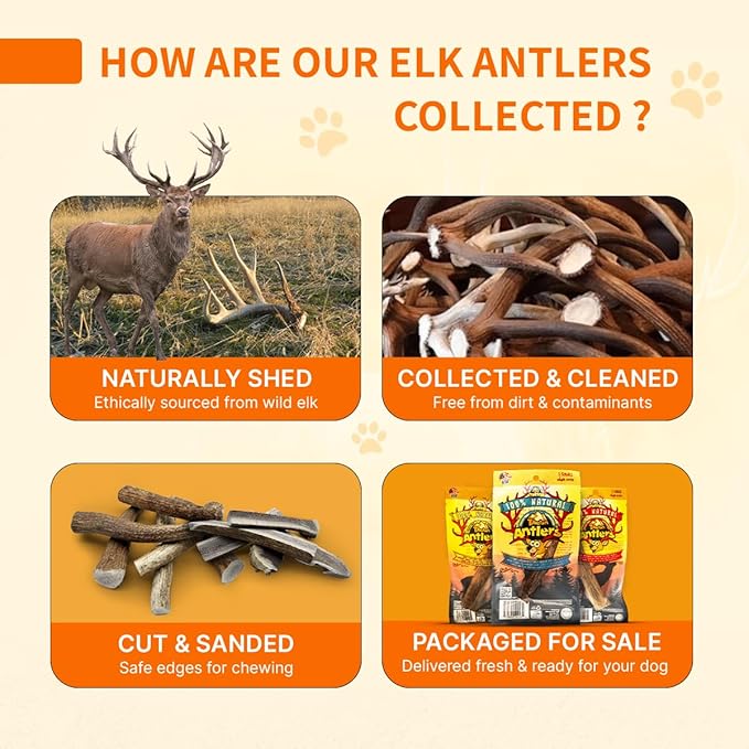 Tibetan Elk Antler for Dogs, Grade-A, 4"+ Premium Chews, Naturally shed Healthy & Longer Lasting Aggressive chewers, USA Product Antler (Split)