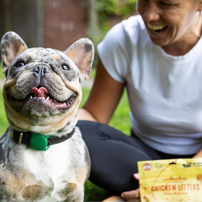 Polkadog Chicken Littles Crunchy Training Bits – All Natural, Limited Ingredient Healthy Training Treats for Dogs. Handcrafted & Made in USA. Great for Dogs with Allergies or Sensitive Stomachs – 7oz