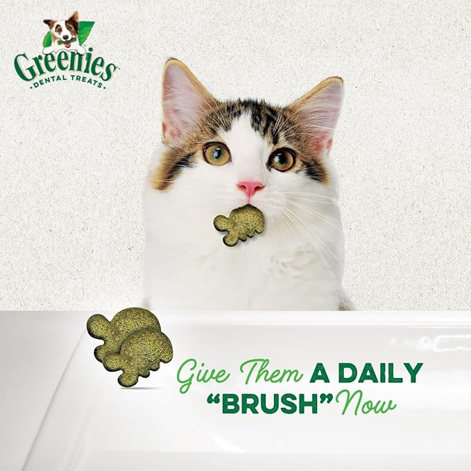 Greenies Cat Treats, Feline Veterinarian-Recommended Adult Natural Dental Treats, Catnip Flavor, 2.1 oz. Pouch