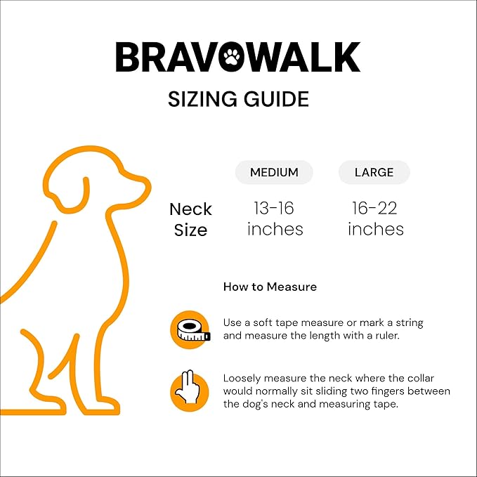 Pro No-Pull Dog Training Collar for Happier Walks, Rechargeable and Waterproof, Hands Free Device with No Remote Needed, Anti-Slip, and Safe-to-use for Medium and Large Breed Dogs (Large)