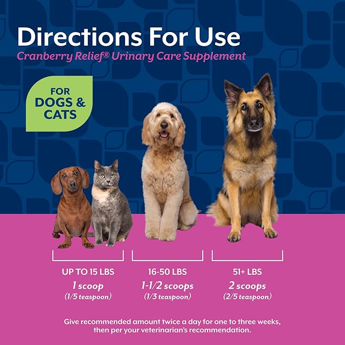 NaturVet – Cranberry Relief Plus Echinacea | Helps Support a Healthy Urinary Tract & Immune System (50g Powder)